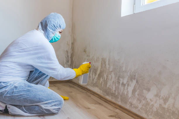 Mold inspector in Cordova performing thermal imaging